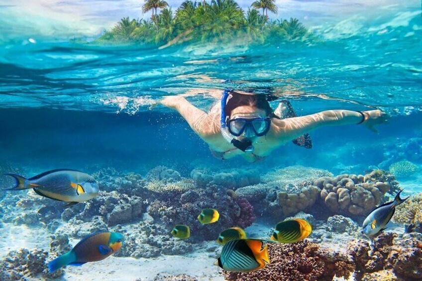 Bali Snorkeling at Blue Lagoon with Private Transfer