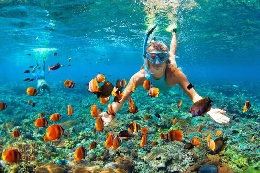 Bali Snorkeling at Blue Lagoon with Private Transfer