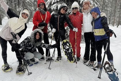 Lake Tahoe: Guided Snowshoe Experience