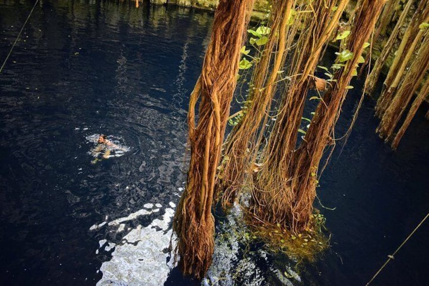 Private Tour - The best Cenotes in Yucatan for Instagram
