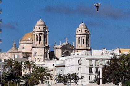 Cadiz and its Bay Day Trip from Seville.