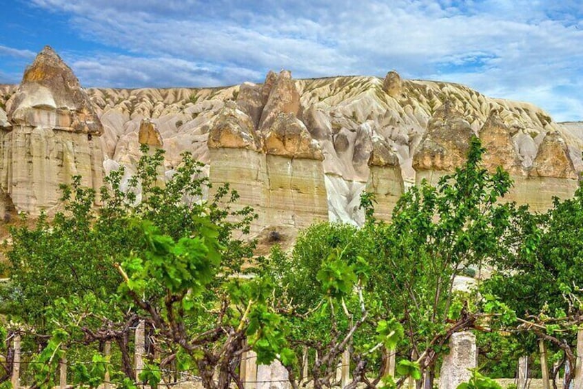 Half-Day Private Cappadocia Wine Tour Experience