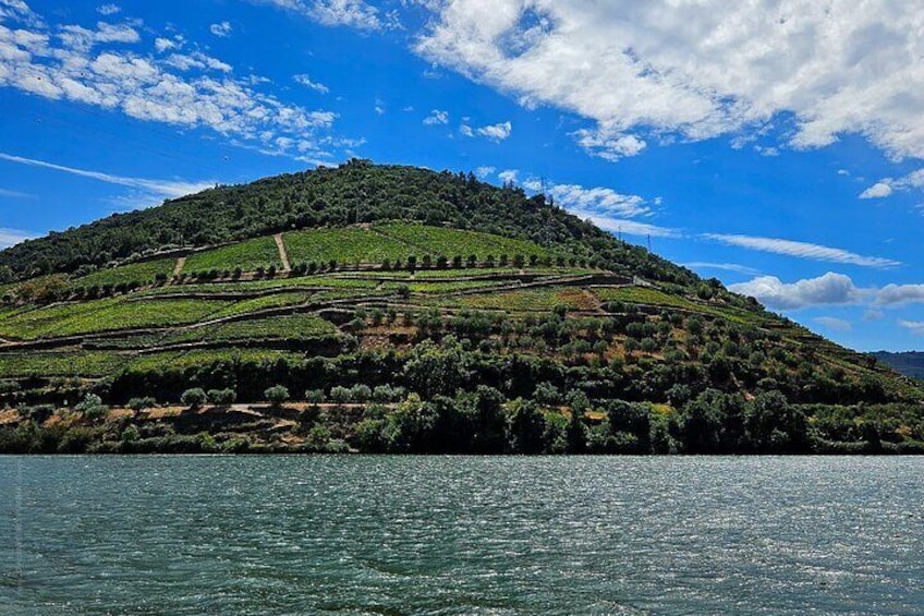 Douro Valley and Minho Region with Chef and Boat Lunch