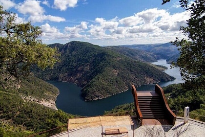 Douro Valley and Green Wine with Chef and Boat Lunch Tasting