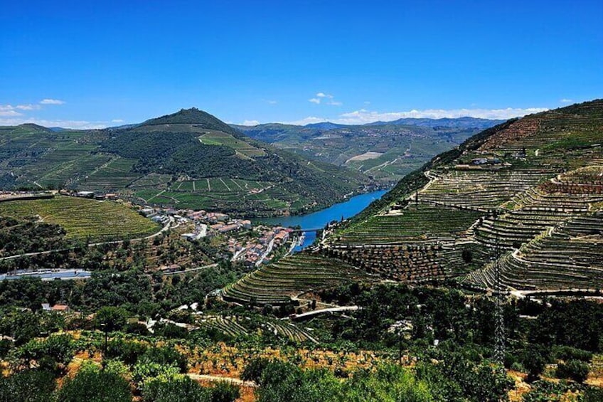 Douro Valley and Minho Region with Chef and Boat Lunch