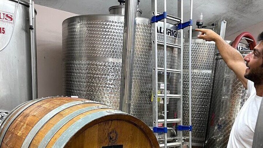 Chianti family owned organic wine tasting