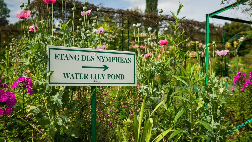 Small Group Versailles and Giverny from Paris