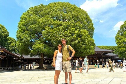 Tokio: Excursión privada al Santuario Meiji Jingu y el jardín interior (2h)