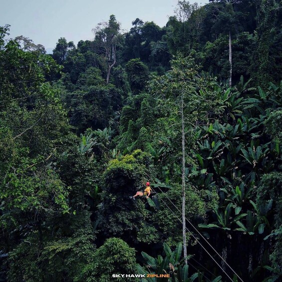 Sky Hawk Zipline Chiang Mai