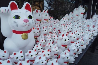 Gotokuji Temple Walking Tour with Numerous cat statues