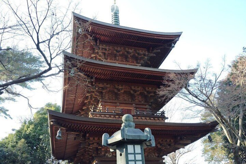 Gotokuji Temple Walking Tour Adventure