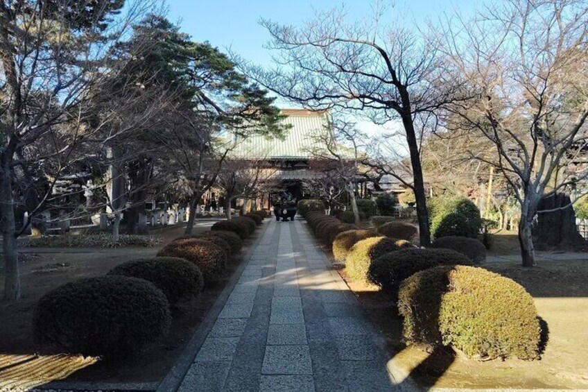 Gotokuji Temple Walking Tour Adventure