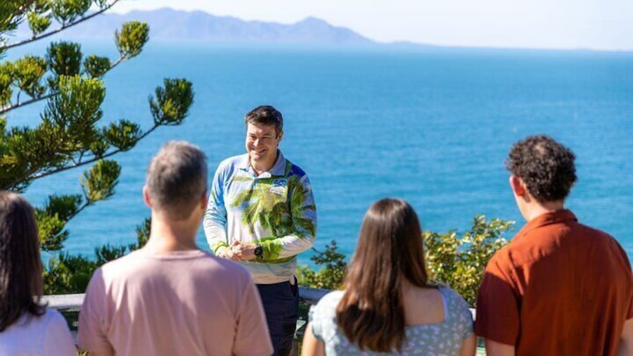 Magnetic Island Afternoon Tour