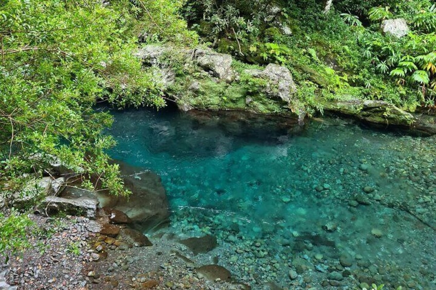 Visit of Reunion Island