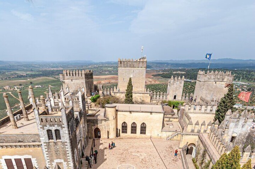 Guided tour of Almodovar Castle, entrance fee included