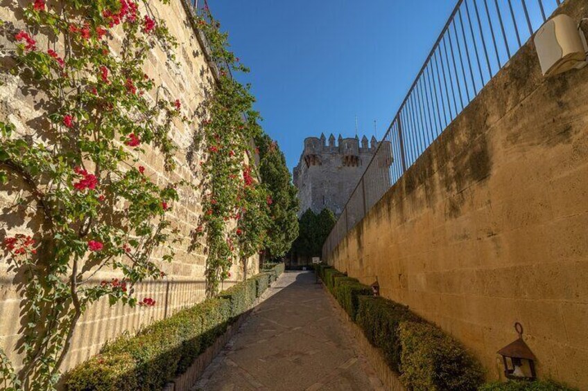 Guided tour of Almodovar Castle, entrance fee included