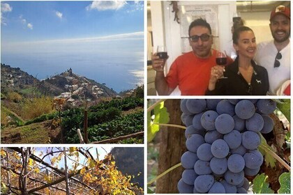 Wine trails from Positano with tasting