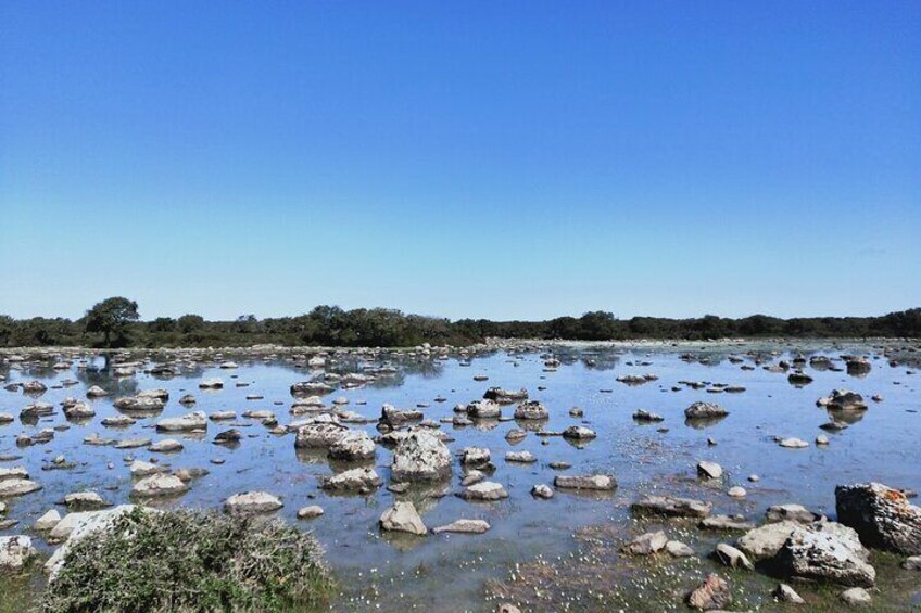 The Unesco site of Barumini and the Giara of Gesturi 