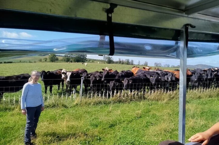 Lucy speaking to guests about paddock grazing