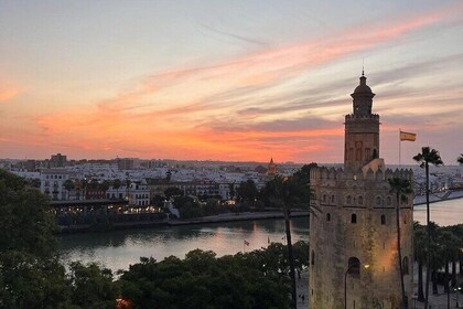 Rooftop Sunset Wine Experience