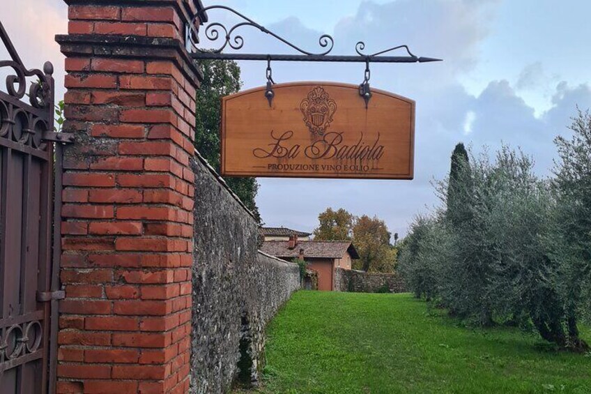 Lucca by bike between Villas and Wine