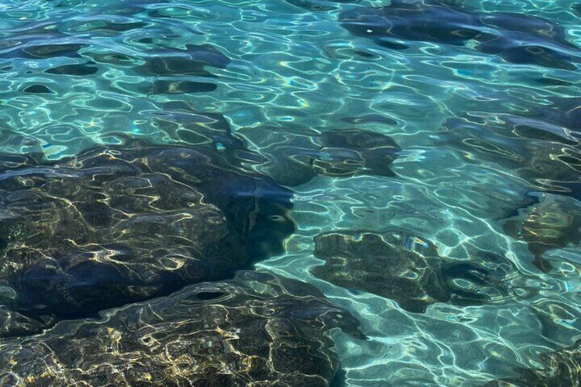 Lake Tahoe Clear Kayak Adventure at Sand Harbor
