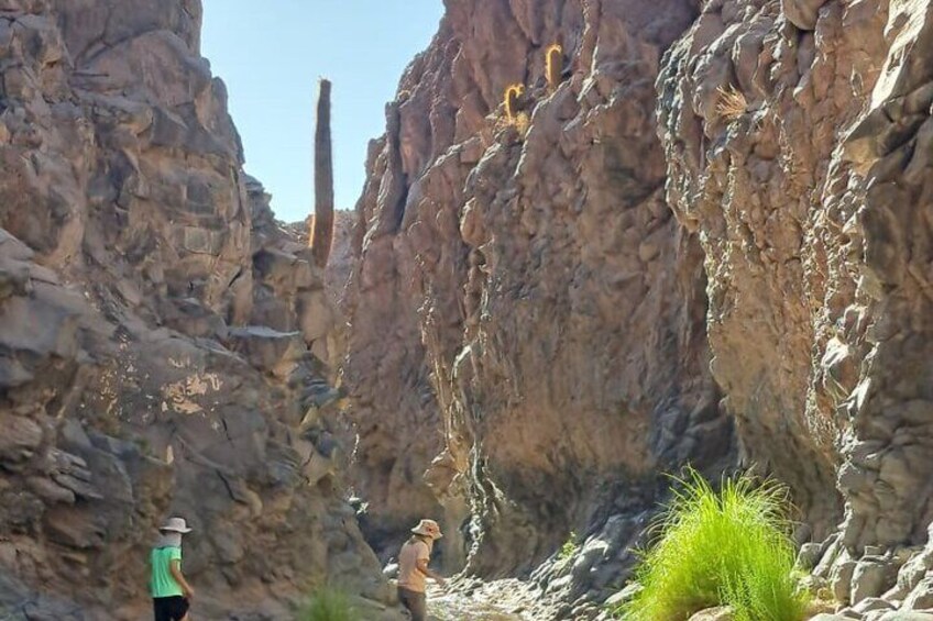 Private Tour of the Hidden Desert San Pedro de Atacama