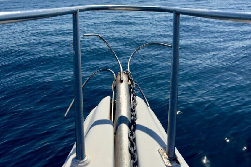 Sesimbra Boat Tour by the Coast in the Marine Park