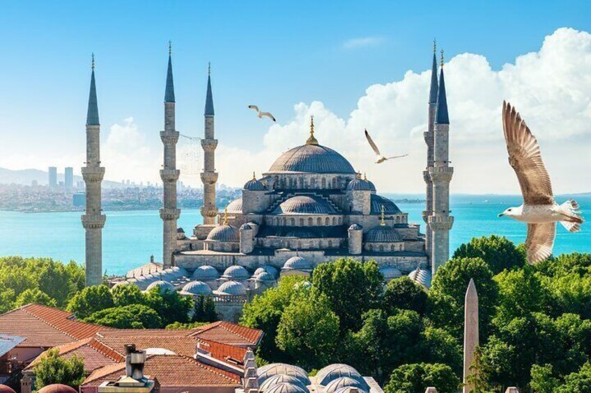 Peninsula and Bosphorus Historical Tour