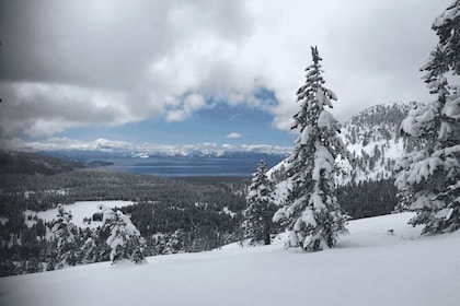 Lake Tahoe: Guided Cross Country Skiing Tour