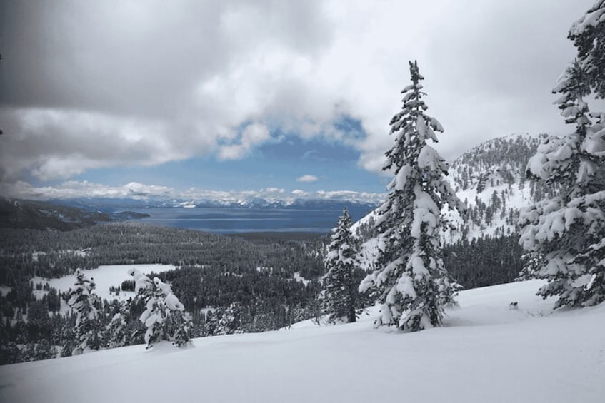 Picture 2 for Activity Lake Tahoe: Guided Cross Country Skiing Tour