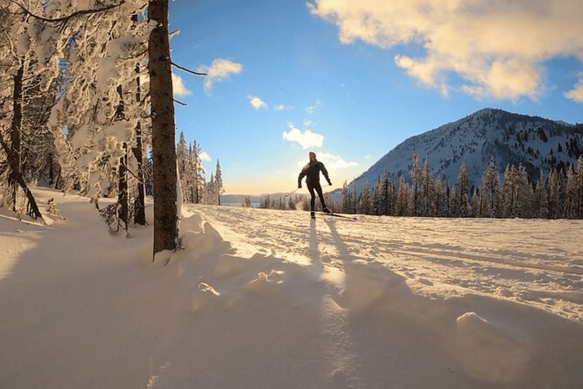 Picture 6 for Activity Lake Tahoe: Guided Cross Country Skiing Tour