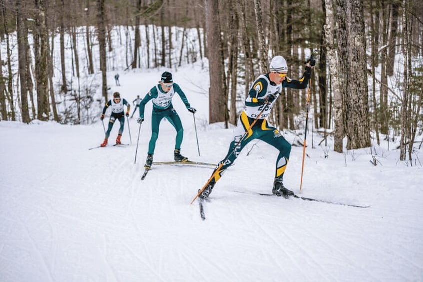 Lake Tahoe: Guided Cross Country Skiing Tour