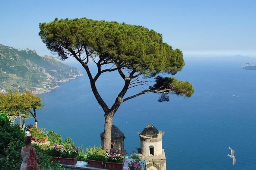 Ravello Amalfi Positano Daily Tour from Naples