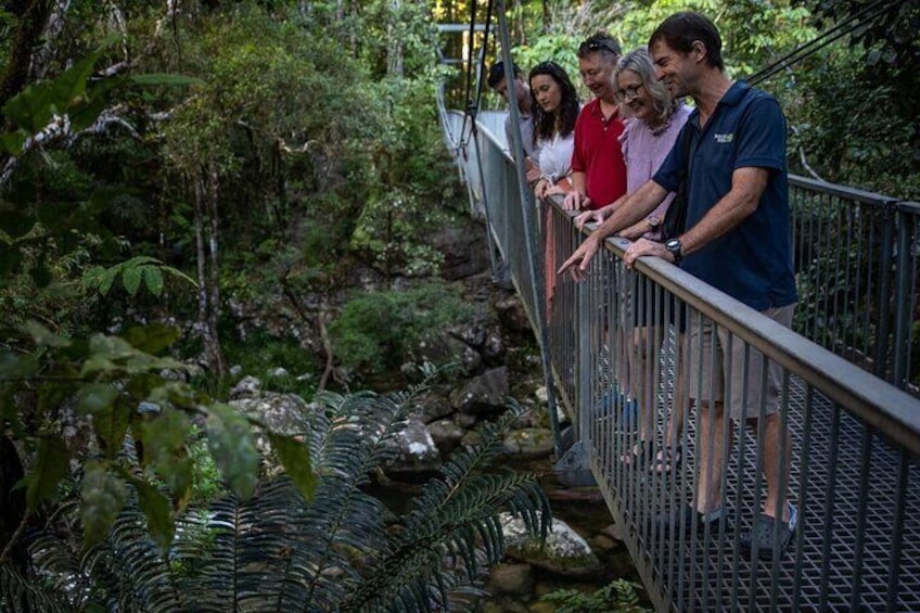 Half Day Tour to Daintree Rainforest and Mossman Gorge