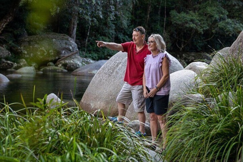 Half Day Tour to Daintree Rainforest and Mossman Gorge