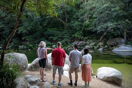 Half Day Tour to Daintree Rainforest and Mossman Gorge