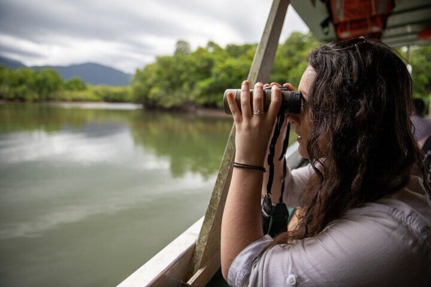 Half Day Tour to Daintree Rainforest and Mossman Gorge