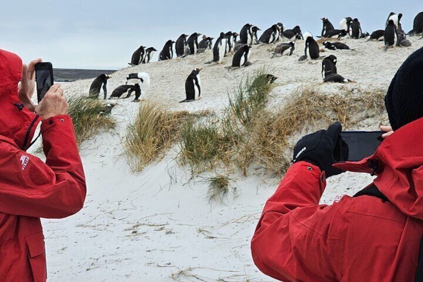 Falkland Islands Stanley Private 4x4 Full Day Tour