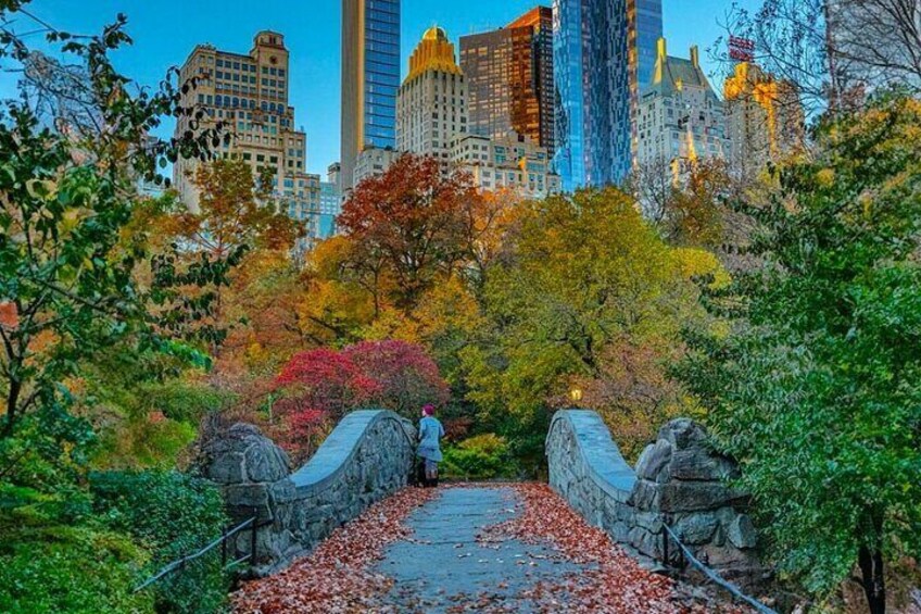 Central Park Pedicab Tours History, Nature and Movie Locations