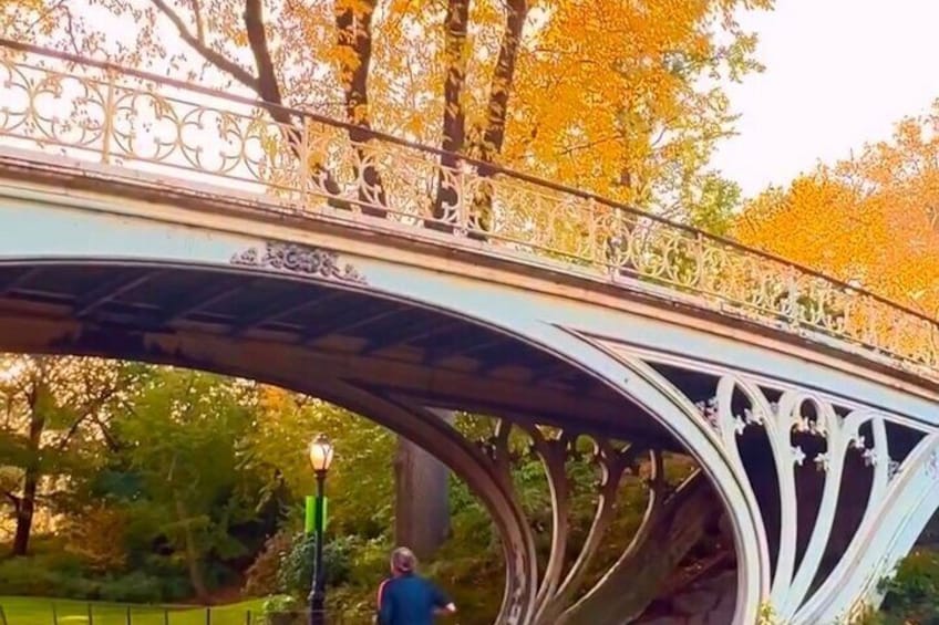  Central Park Pedicab Tours History, Nature and Movie Locations