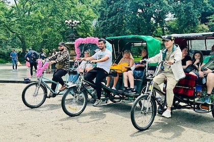 Central Park Pedicab Tours History, Nature and Movie Locations