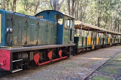 Dwellingup Trains, Trails & Woodfired Delights Full Day Tour