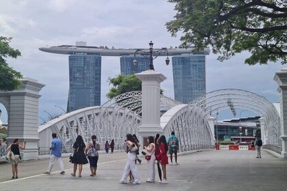 Singapore with Transfer Garden By The Bay and Marina Bay