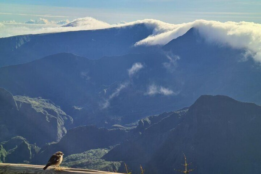 Private Tour of Reunion Island