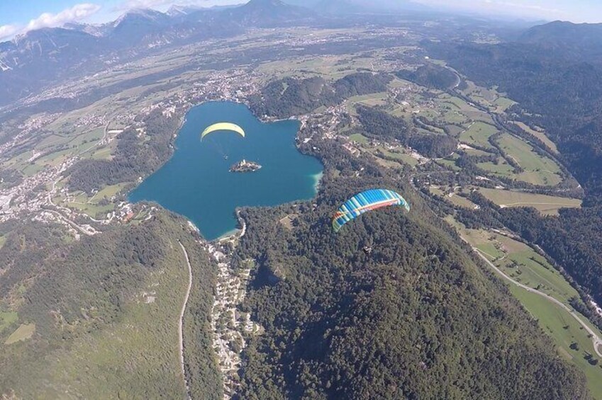 Paragliding above Lake Bled
