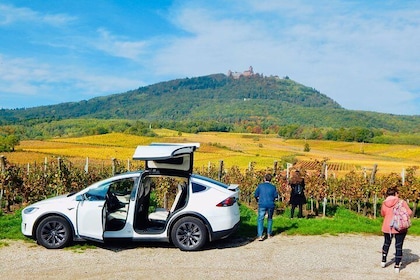 5H00 ALSACE PRIVATE TOUR-Castle, Villages, Wine, Friendly Driver