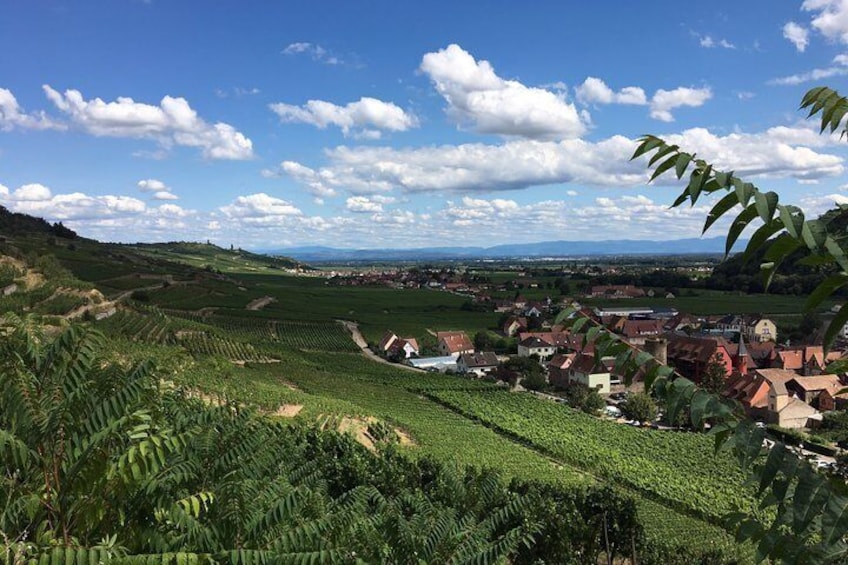 5H00 ALSACE PRIVATE TOUR-Castle, Villages, Wine, Friendly Driver