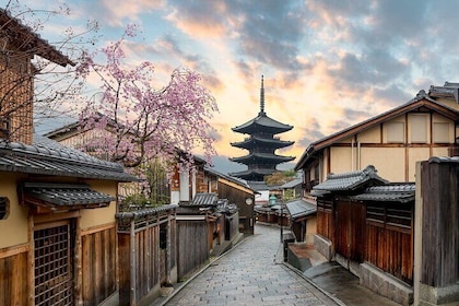 Private Kyoto Customisable Tour With English Guide