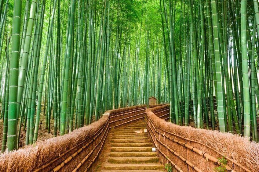 Private Kyoto Customizable Tour With Guide and Luxury vehicle 